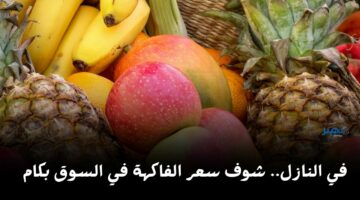 في النازل.. شوف أسعار الفاكهة اليوم الجمعة 12 أبريل 2024 بقت بكام