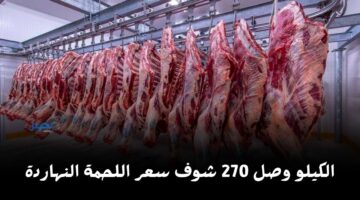 الكيلو وصل 270 جنيه.. تعرف على سعر اللحوم اليوم الاثنين 14 أبريل في المحلات ومنافذ الزراعة