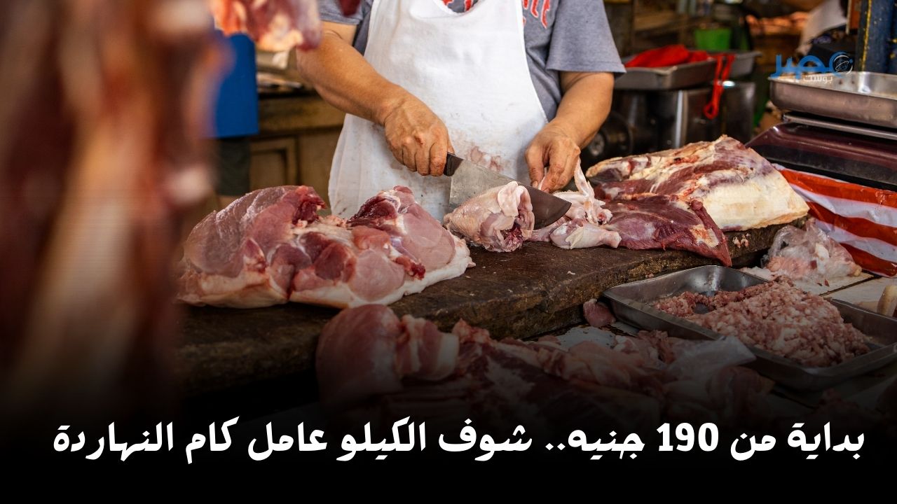 هتبدأ بـ190.. شوف أسعار اللحوم ضأن وبتلو اليوم السبت 6 أبريل في الأسواق هتوصل لكام