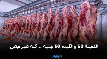 اللحمة 60 والكبدة 50 جنيه.. هبوط قوي بأسعار اللحوم اليوم وهذه أرخص أماكن للشراء