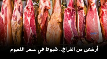 أرخص من الفراخ.. هبوط في سعر اللحوم اليوم السبت 13 أبريل في محلات الجزارة شوف وصل كام