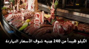 الكيلو بداية من240 جنيه.. مفاجأة في سعر اللحوم اليوم الأحد 14 أبريل في الأسواق شوف الكيلو بكام