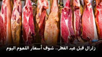 زلزال قبل عيد الفطر.. شوف أسعار اللحوم اليوم الاثنين 8 أبريل في الأسواق بقت بكام