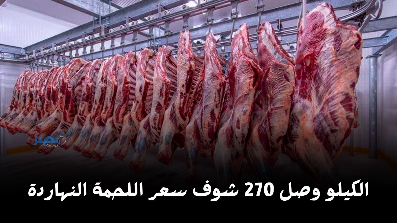 الكيلو وصل 270 جنيه.. تعرف على سعر اللحوم اليوم الاثنين 14 أبريل في المحلات ومنافذ الزراعة
