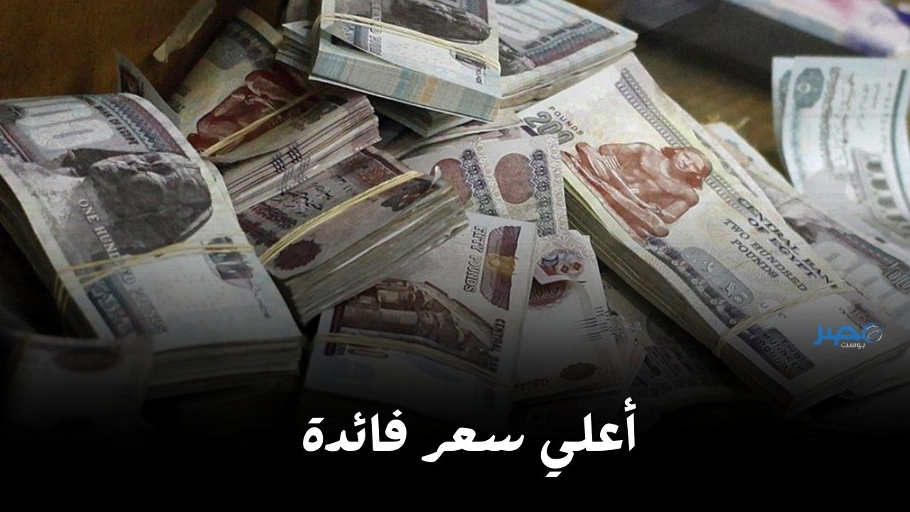 شغل فلوسك ومتركنهاش.. أسعار الفائدة الجديدة على شهادات ادخار aiBANK
