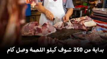 “كيلو بـ250 جنيه” انخفاض في أسعار اللحوم اليوم في محلات الجزارة شوف وصلت كام