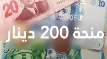 سجل الآن للحصول عل منحة 200 دينار في تونس عبر موقع وزارة الشؤون الاجتماعية