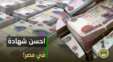 استثمر فلوسك بسرعة.. البنك الأهلي بيقدم أعلي عائد علي شهادات ادخار في 2024