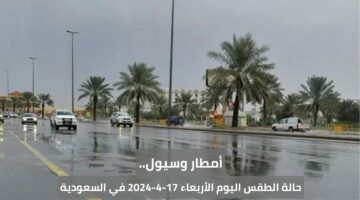 أمطار وسيول.. حالة الطقس اليوم الأربعاء 17-4-2024 في السعودية