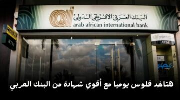 بعائد يومي.. ادخر فلوسك مع البنك العربي الأفريقي بفائدة 27% لمدة 3 سنوات