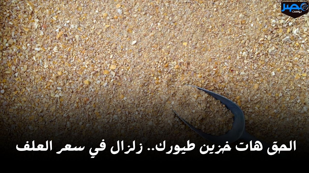 الحق هات خزين طيورك.. زلزال في سعر العلف اليوم الخميس 18 أبريل شوف وصل كام