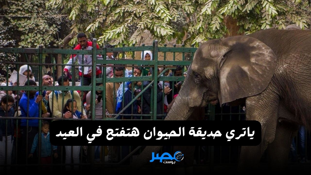 بجد ولا إشاعات.. حقيقة فتح حديقة الحيوان أمام المواطنين في عيد الفطر