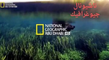 “برامج جديدة sd” تردد قناة ناشيونال جيوغرافيك أبو ظبي HD الجديد نايل سات وعربسات