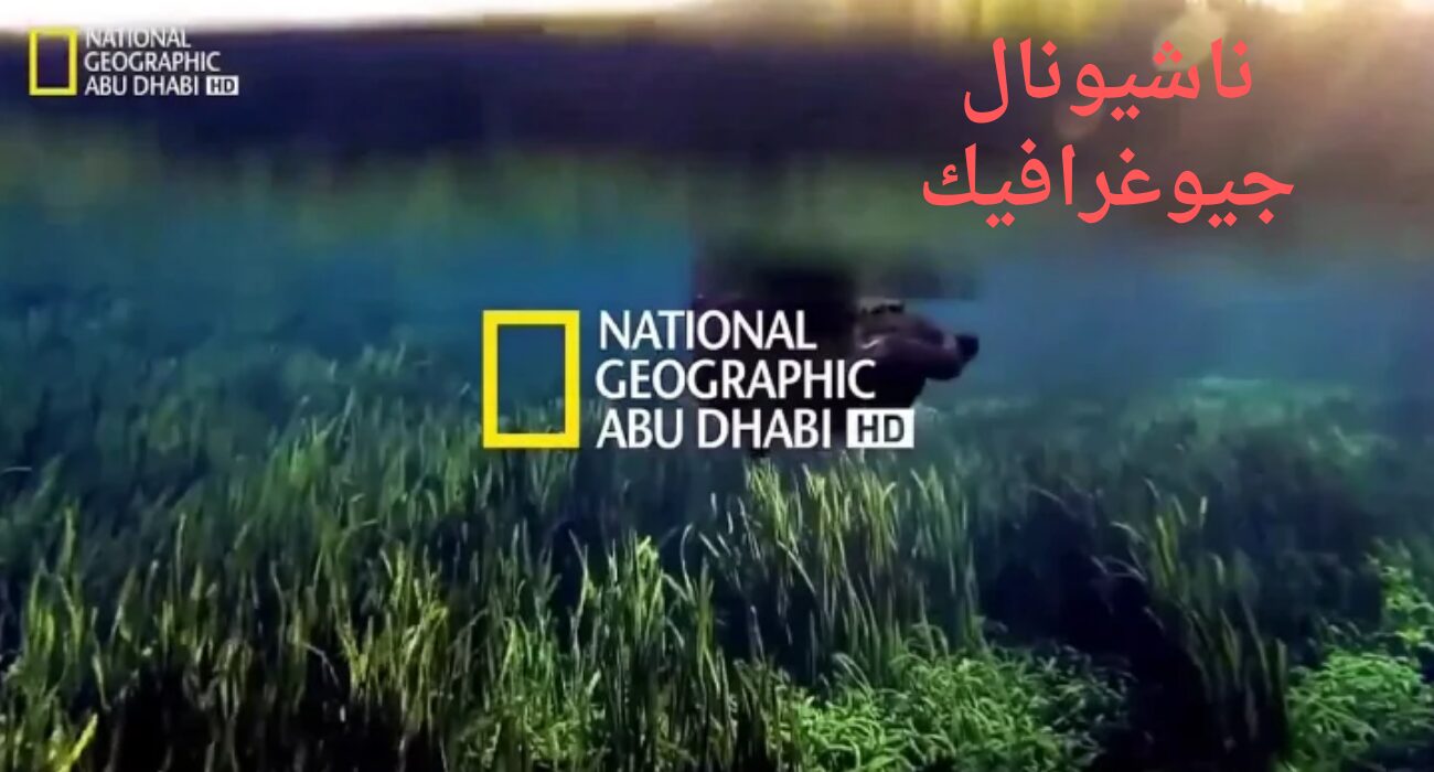 “برامج جديدة sd” تردد قناة ناشيونال جيوغرافيك أبو ظبي HD الجديد نايل سات وعربسات