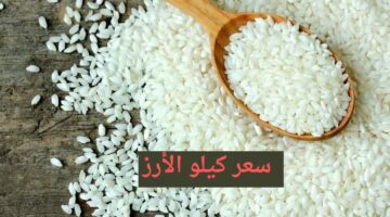 “بكام الشيكارة” تراجع سعر كيلو الأرز بعد العيد 2024 شوف بقا بكام النهاردة