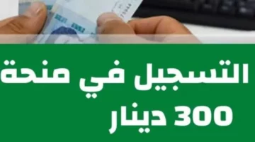 قدم وخذ المنحة هتحسن دخلك.. شروط وخطوات التسجيل في منحة 300 دينار تونس 2024