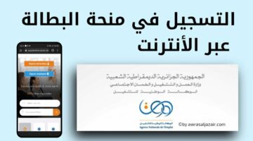 “السيت مفتوح الآن”.. طريقة تسجيل وحجز موعد منحة البطالة في الجزائر 2024