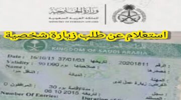 منصة التأشيرات”تأشيرة السعودية”.. خطوات الاستعلام عن تأشيرة الزيارة إلى السعودية 2024
