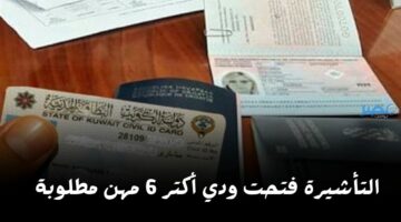 تأشيرات الكويت فتحت.. 6 وظائف مطلوبة للعمل وهذه هي الوثائق المطلوبة لاستخراج التأشيرة