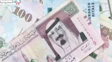 مرشح للزيادة.. سعر الريال السعودي مقابل الجنيه المصري اليوم الأربعاء 8 مايو في البنوك