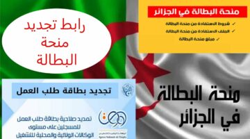 مفاجأة سارة.. طريقة تجديد منحة البطالة في الجزائر للحصول على 15 ألف دينار