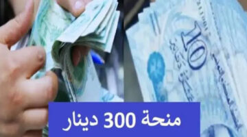 سجل دلوقتي والحق القبض الجديد.. بالتفاصيل خطوات التسجيل في منحة تونس 300 دينار