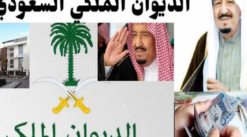 بالتفاصيل.. كيفية الحصول على إعفاء طبي من الديوان الملكي اعرف الخطوات الصح وقد دلوقتي!!