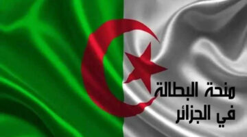 تفاصيل وتوضيحات حول الحقيقة وراء إيقاف منحة البطالة في الجزائر تعرف آخر التفاصيل