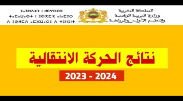 ظهرت الآن.. من هُنا الحصول على النتائج وتقديم طعن على نتائج الحركة الوطنية الانتقالية بالمغرب 2024