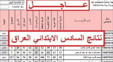 استعلام نتائج الصف السادس الابتدائي محافظة البصرة 2024 عبر موقع نتائجنا