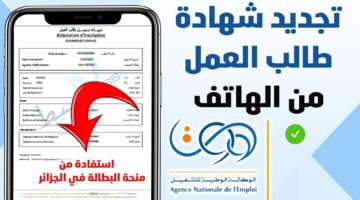 مش فاضى تروح الوكالة.. خطوات تجديد منحة البطالة كل 6 أشهر أون لاين من موبايلك