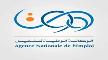 “الوكالة الوطنية للتشغيل”.. تنشر إجراءات تجديد منحة البطالة الجزائر والشروط المطلوبة