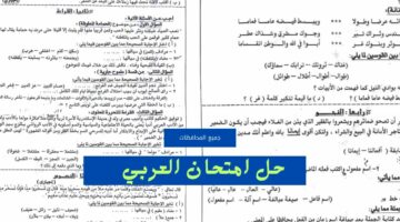 (هًنا إجابات) نموذج حل امتحان اللغة العربية 2024 الثانوية العامة وتوزيع الدرجات بالكامل