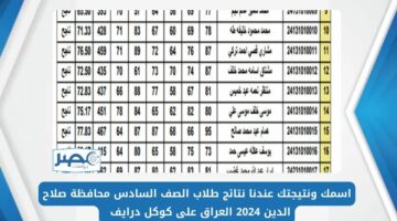 اسمك ونتيجتك عندنا نتائج طلاب الصف السادس محافظة صلاح الدين 2024 العراق على كوكل درايف