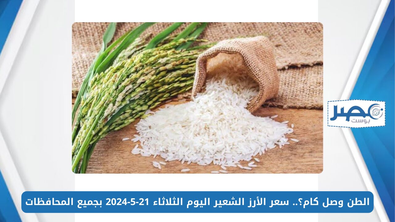الطن وصل كام؟.. سعر الأرز الشعير اليوم الثلاثاء 21-5-2024 بجميع المحافظات