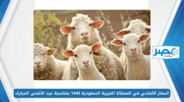 أسعار الأضاحي في المملكة العربية السعودية 1445 بمناسبة عيد الأضحى المبارك