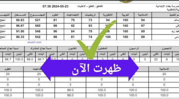 عاجل… استعلم الآن عن نتائج الصف السادس الابتدائي  2024 في محافظة الكرخ الأولى والثانية!!