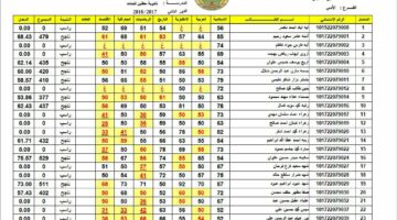 “لينك فعال” نتائج السادس الابتدائي الدور الأول 2024 محافظات العراق