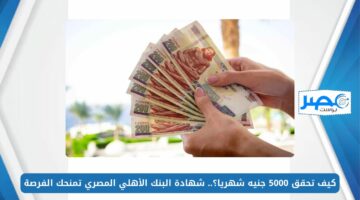 هتقبض 5000 جنيه شهريا.. شهادة البنك الأهلي المصري الجديدة بأعلي عائد شوف تبدأ بكام
