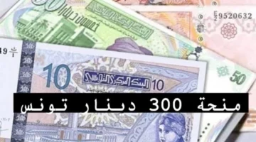 لينك التسجيل في منحة 300 دينار تونس 2024 والشروط اللازمة