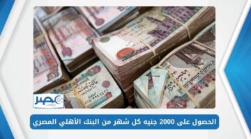 تفاصيل طريقة الحصول على 2000 جنيه كل شهر من البنك الأهلي المصري