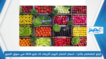 كيلو الطماطم بكام؟.. أسعار الخضار اليوم الأربعاء 22 مايو 2024 في سوق العبور
