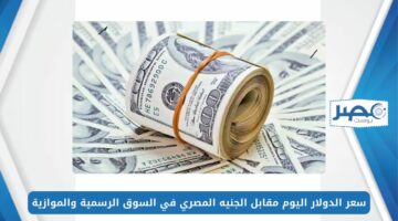سعر الدولار اليوم مقابل الجنيه المصري 19-5-2024 في السوق الرسمية والموازية