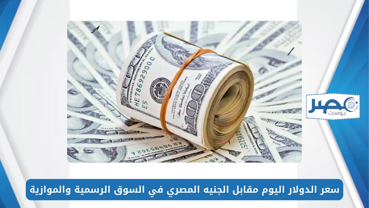 سعر الدولار اليوم مقابل الجنيه المصري 19-5-2024 في السوق الرسمية والموازية