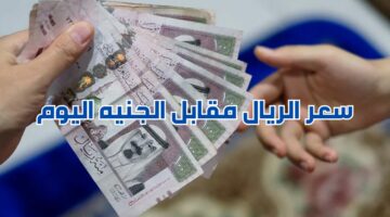 اعرف أعلى سعر في بنك إيه.. سعر الريال السعودي مقابل الجنيه المصري اليوم الأحد 5-5- 2024