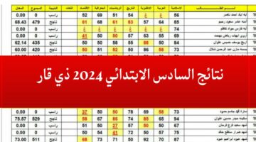 نتائج السادس الابتدائي 2024 محافظة ذي قار عبر موقع نتائجنا وزارة التربية العراقية