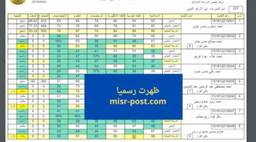(روابط اpdf) تنزيل نتائج السادس الابتدائي 2024 الدور الأول وزارة التربية العراقية الرصافة الاولى
