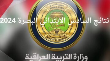 الوزارة أعلنت ظهورها الآن.. نتائج السادس الابتدائي البصرة 2024 العراق الدور الأول