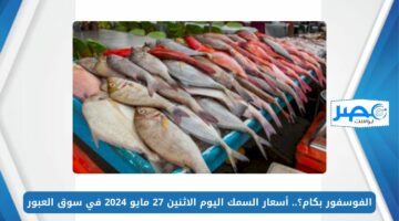 الفوسفور بكام؟.. أسعار السمك اليوم الاثنين 27 مايو 2024 في سوق العبور