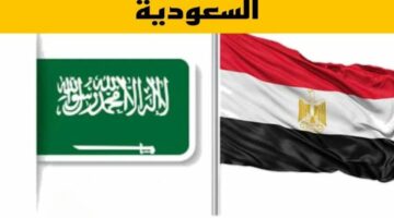 بهذه الشروط.. وزارة العمل تعلن عن وظائف شاغرة للمصريين في السعودية